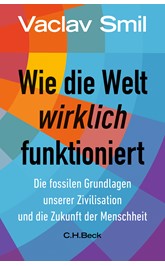 Cover: Smil, Vaclav, Wie die Welt wirklich funktioniert